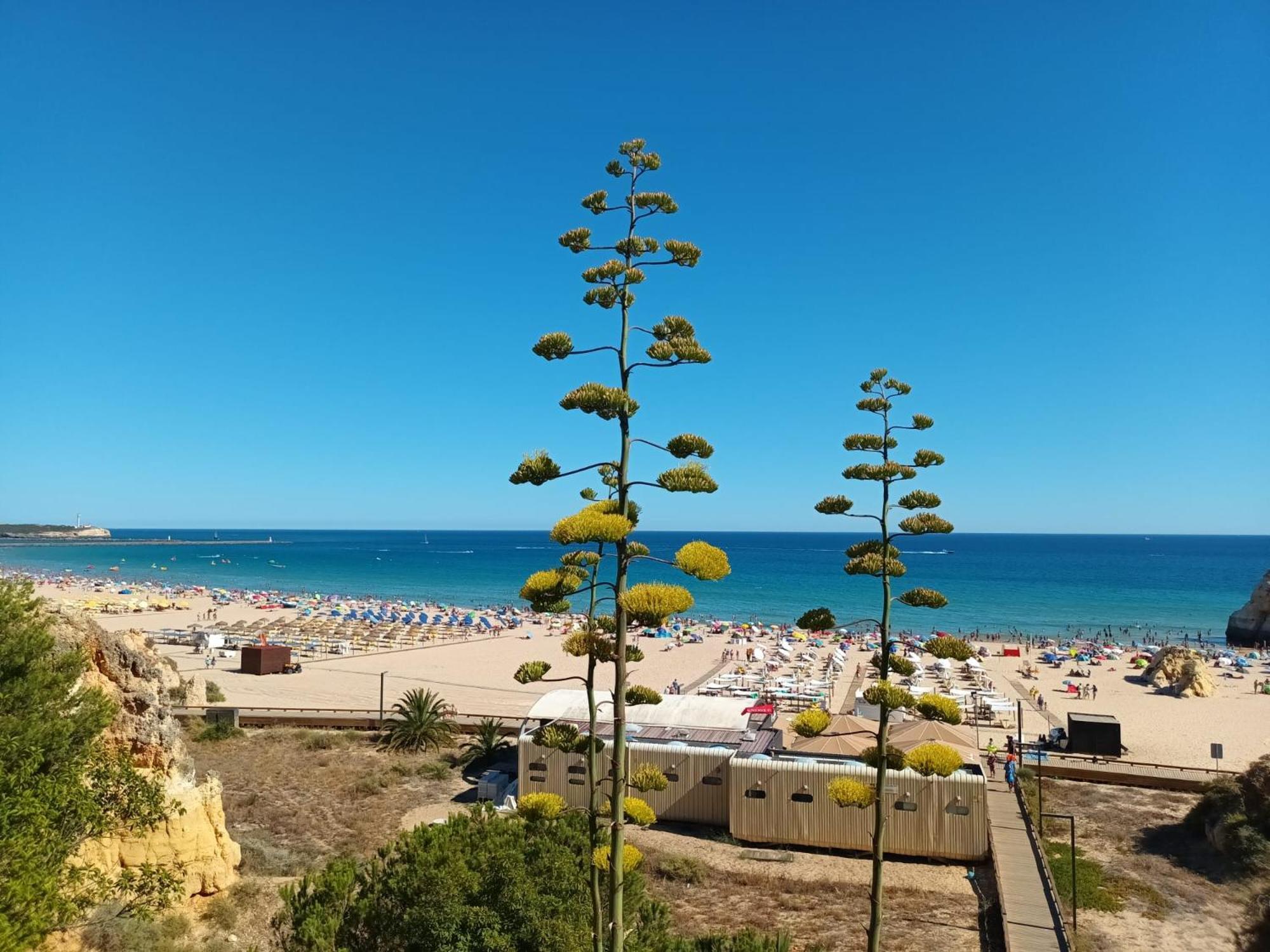 Luxury 2 Min Beach With Balcony, Ocean View, Wifi, Ac, Smarttv بورتيماو المظهر الخارجي الصورة